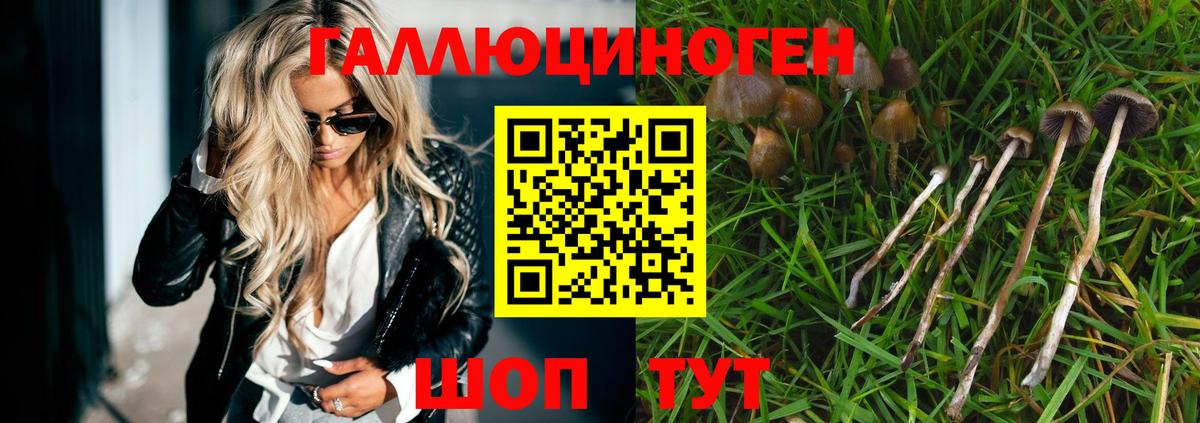 Псилоцибиновые грибы MAGIC MUSHROOMS Десногорск