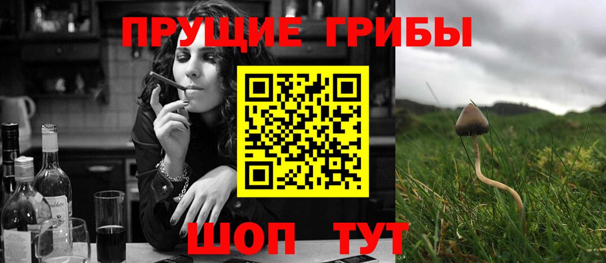 Псилоцибиновые грибы GOLDEN TEACHER  Вход с VPN  Псилоцибиновые грибы Psilocybe  Десногорск 